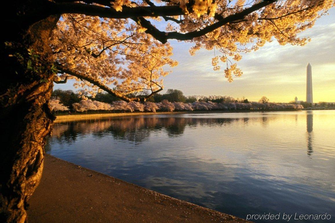 Hampton Inn & Suites Washington-Dulles International Airport Sterling Luaran gambar